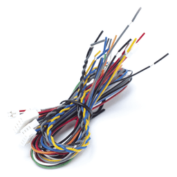 Juego de cables de conexion para Biostation 2