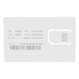 RENOVACION POR UN AÑO DE SERVICIO PARA SIM25MB