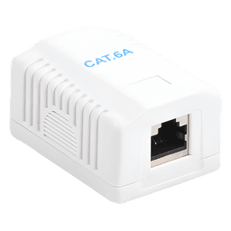 Caja de Pared / 1 Puerto / Cat6A Blindado / T568A/B / 125 VAC / 1.5 A / 750 Ciclos / 0.131 ft x 0.131 ft