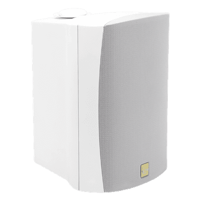 Altavoz de Montaje en Superficie / 2 Vías / 70V/100V / Woofer 6.5 in / IP66 / Soporte 120°
