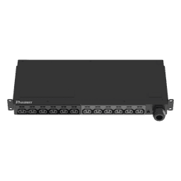 PDU Básico para Distribución de Energía, Enchufe de Entrada NEMA L6-30P, Con 12 Contactos C13, Instalación Horizontal de 19in, 1UR, 30 Amp, 208 Vca 