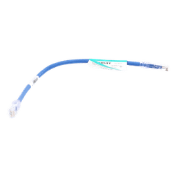 Cable de Parcheo UTP Categoría 6, con Plug Modular en Cada Extremo - 0.3 Metros (1 Pie) - Azul