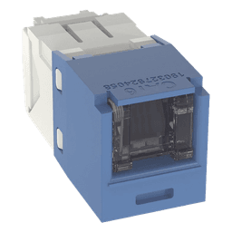 Conector Jack RJ45 / Categoría 6 / 8 Posiciones 8 Cables / Terminación Sin Herramienta / Color Azul
