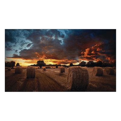 Pantalla Profesional de 55" para Video Wall / Full HD (1080p) / Display port - HDMI - DVI / 24/7 / soporta conexion Daisy chain por DP / Bisel Ultra Delgado de 2.3mm  / Compatible VESA 600x400
