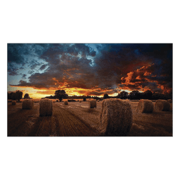 Pantalla Profesional de 55" para Video Wall / Full HD (1080p) / Display port - HDMI - DVI / 24/7 / soporta conexion Daisy chain por DP / Bisel Ultra Delgado de 2.3mm  / Compatible VESA 600x400