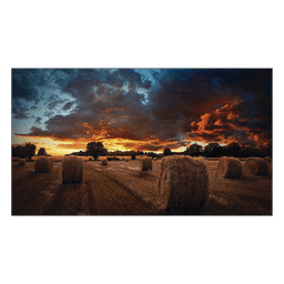 Pantalla Profesional de 46" para Video Wall / Full HD (1080p) / Display port - HDMI - DVI / 24/7 / soporta conexion Daisy chain por DP / Bisel Ultra Delgado de 2.25mm / Compatible VESA 600x400