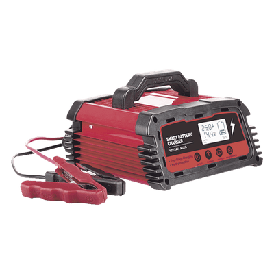 Cargador de Baterías / 12 o 24 Vcc / 25 A / Hasta 250 Ah / Display LCD / Entrada Universal AC 110-220 V