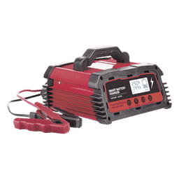 Cargador de Baterías / 12 o 24 Vcc / 25 A / Hasta 250 Ah / Display LCD / Entrada Universal AC 110-220 V
