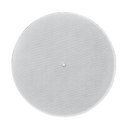 Altavoz Colgante / 6.5 in (16.5 cm) / 2 Vías / 300W / 8Ω / 70V/100V / 120° Dispersión / Blanco