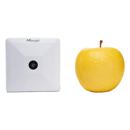 Sensor Inteligente de Presencia y Conteo de Personas LoRaWAN / Precisión 98% / Área hasta 126 m² / para Retail y Edificios Inteligentes