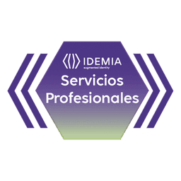 Servicio de Soporte Técnico Remoto / 4 Horas / Asistencia en Línea / Definición de Alcance Previa