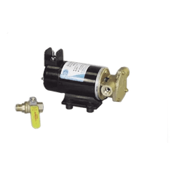 Bomba para recambio de aceite / 12 Vcd / 6.3 gpm (24 lpm) / Autocedente 4 pies (1.2 m) / Compacta 30x15x15 cm