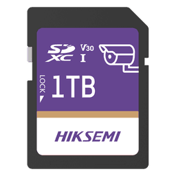 Tarjeta SD GuardPro P10 / 1 TB / 100 MB/s Lectura / 90 MB/s Escritura / Clase 10 U3 V30 / 3D TLC NAND / Especializada Para Videovigilancia 24/7