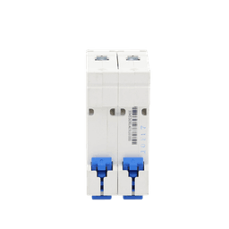 Pastilla para Riel Din, 2 Polos, 10 Amp, Vca:110/415v, 6kA, Catálogo: NXB632PC10, Serie: NXB-63.