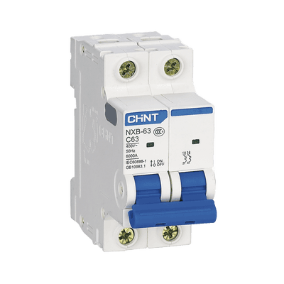 Pastilla para Riel Din, 2 Polos, 10 Amp, Vca:110/415v, 6kA, Catálogo: NXB632PC10, Serie: NXB-63.