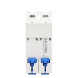 Pastilla para Riel Din, 2 Polos, 16 Amp, Vca:110/415v, 6kA, Catálogo: NXB632PC16, Serie: NXB-63.