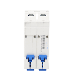 Pastilla para Riel Din, 2 Polos, 20 Amp, Vca:110/415v, 6kA, Catálogo: NXB632PC20, Serie: NXB-63.