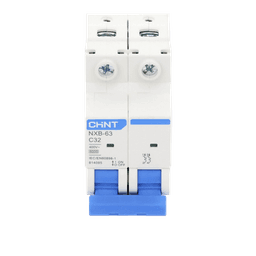 Pastilla para Riel Din, 2 Polos, 32 Amp, Vca:110/415v, 6kA, Catálogo: NXB632PC32, Serie: NXB-63.