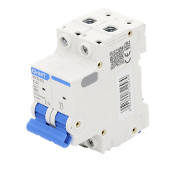 Pastilla para Riel Din, 2 Polos, 32 Amp, Vca:110/415v, 6kA, Catálogo: NXB632PC32, Serie: NXB-63.