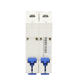 Pastilla para Riel Din, 2 Polos, 32 Amp, Vca:110/415v, 6kA, Catálogo: NXB632PC32, Serie: NXB-63.