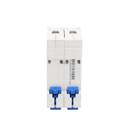 Pastilla para Riel Din, 2 Polo, 63 Amp, Vca:110/415v, 6kA, Catálogo: NXB632PC63, Serie: NXB-63.