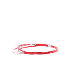 Cable de Parcheo UTP Cat6A, CM/LSZH, Diámetro Reducido (28AWG), Color Rojo, 5ft