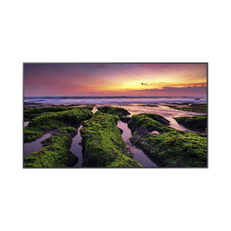 Pantalla Profesional LED de 55", UHD 4K (3840x2160p), Entradas de Video HDMI, Bocinas Integradas de 10 W. Compatible VESA