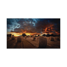 Pantalla Profesional de 46" para Video Wall, Full HD (1080p), HDMI/DVI-D, Bisel Ultra Delgado de 2.25mm. Compatible VESA