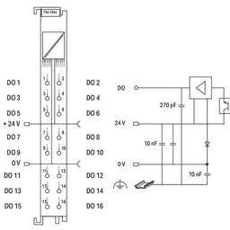 Módulo de Salida Digital / 16 Canales / 24 V DC / 0.5 A por Canal / Push-in CAGE CLAMP® / IP20 / Aislamiento Galvánico 500 kV / Carril DIN-35